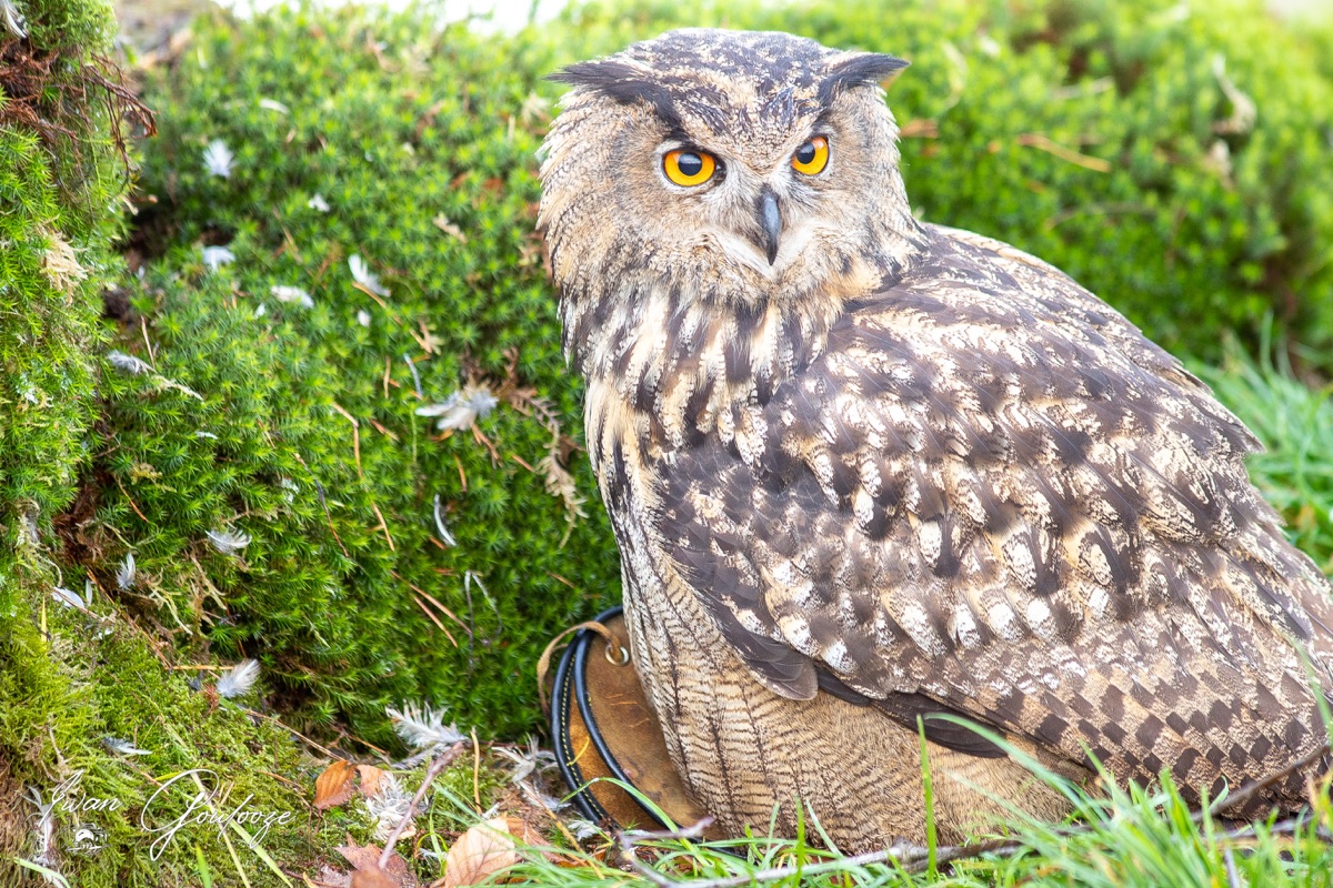 1DX45196 28 november 2021 1324 20